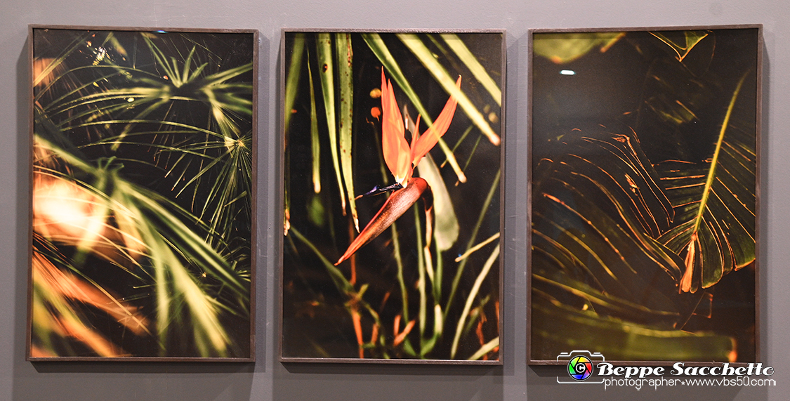 VBS_0776 - Mostra Liquida Photofestival.jpg